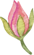 Asset 11.png
