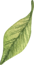 Asset 9.png
