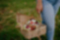 AllisonSimmers-05185.jpg