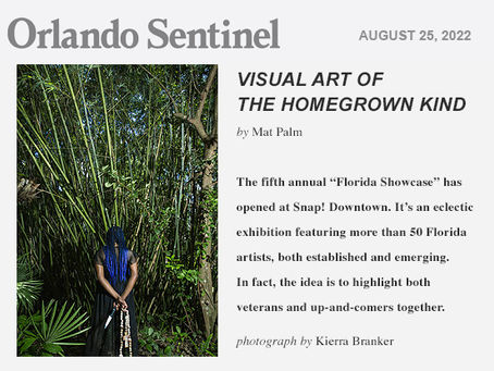 Visual Art of the Homegrown Kind: