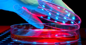 Psychedelic Research: A Look Into The Past, Present, And Future