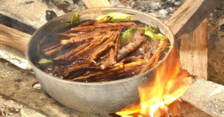 How the Plants Contained Within an Ayahuasca Brew Amalgamate to Create a Powerful Spiritual Experien