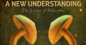 A New Understanding: The Science of Psilocybin - Spanish Subtitles