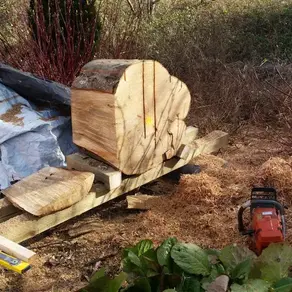Should You Leave the Pith in Woodturning Blanks? Why the Centre of the Tree Causes Cracks