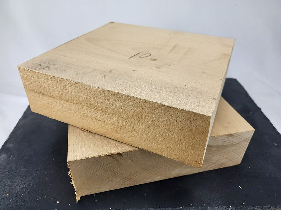 Thumbnail: Woodturning Beech Bowl Blanks 10 Inches x 3 Inches