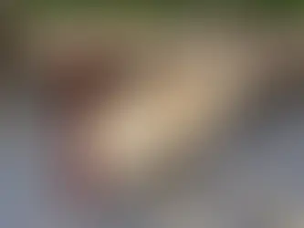 a large forked ash tree being lifted by a farm jack to reposition for cutting