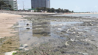 20190914_101326.jpg