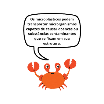 image-removebg-preview (5).png