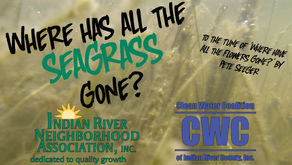 “Where has all the Seagrass Gone?”