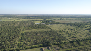 Conservation Cuts in the Budget, Decimated Mangroves, and More!