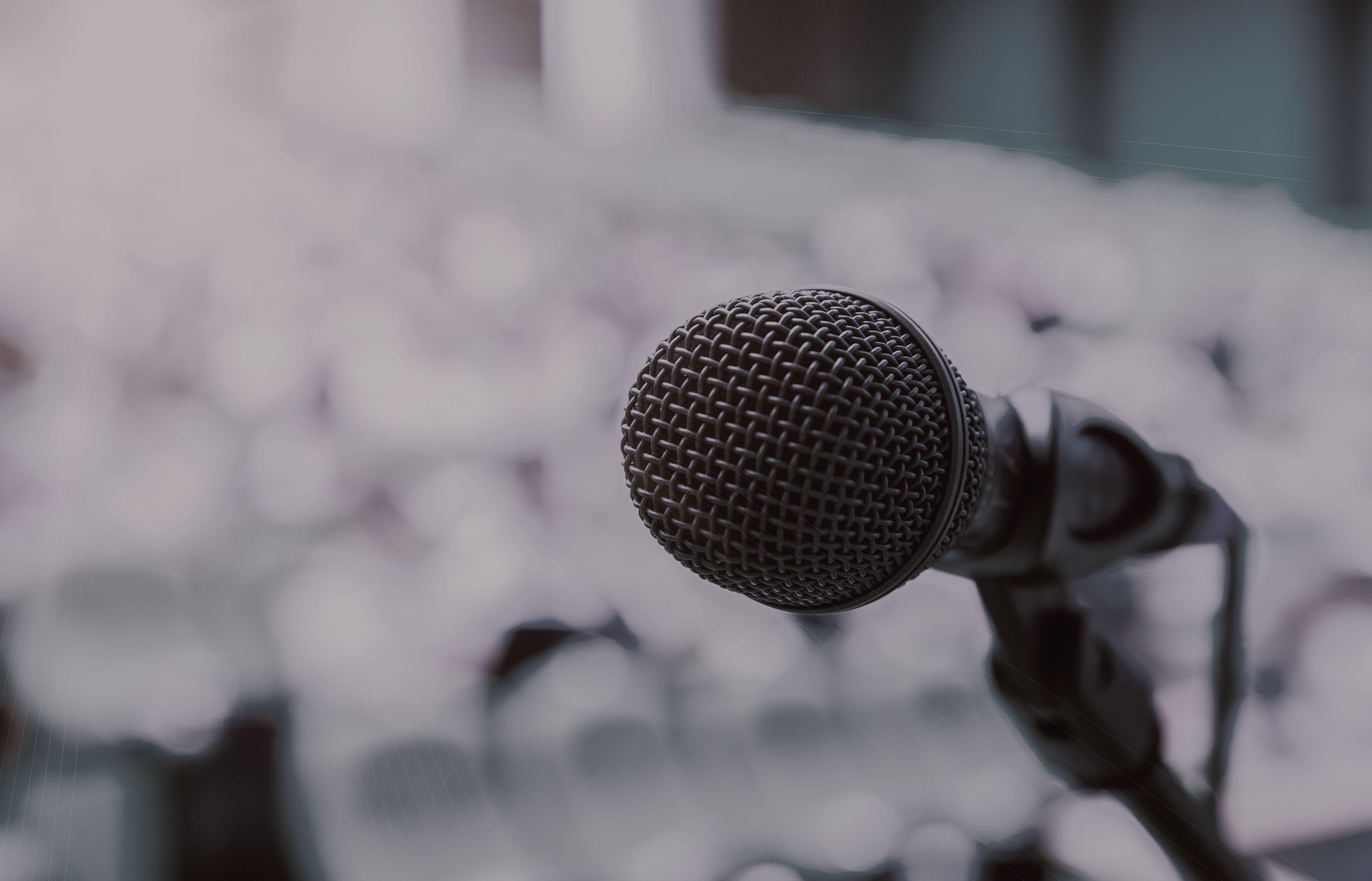 Musical Theatre Voice