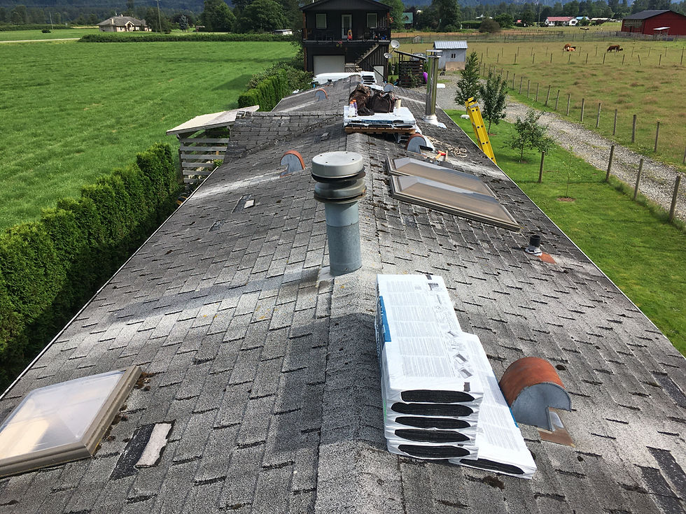 hope mobile home roof. 2020