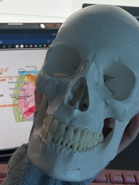 Holding a skull with medical work in the background