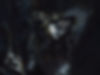 DIX_Garrett_01_Aliens_fulljpeg_edited.jpg