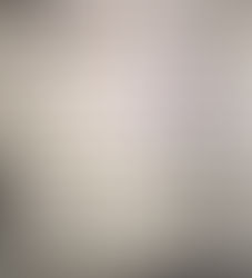 Meeting a Descendent of My Ancestor's Enslaved People