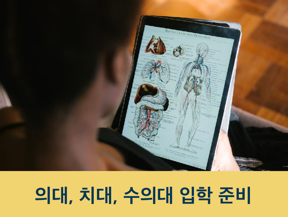 영국 의대, 치대, 수의대 입학을 위한 단계별 준비