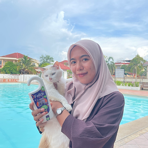 Felice Batu Karang