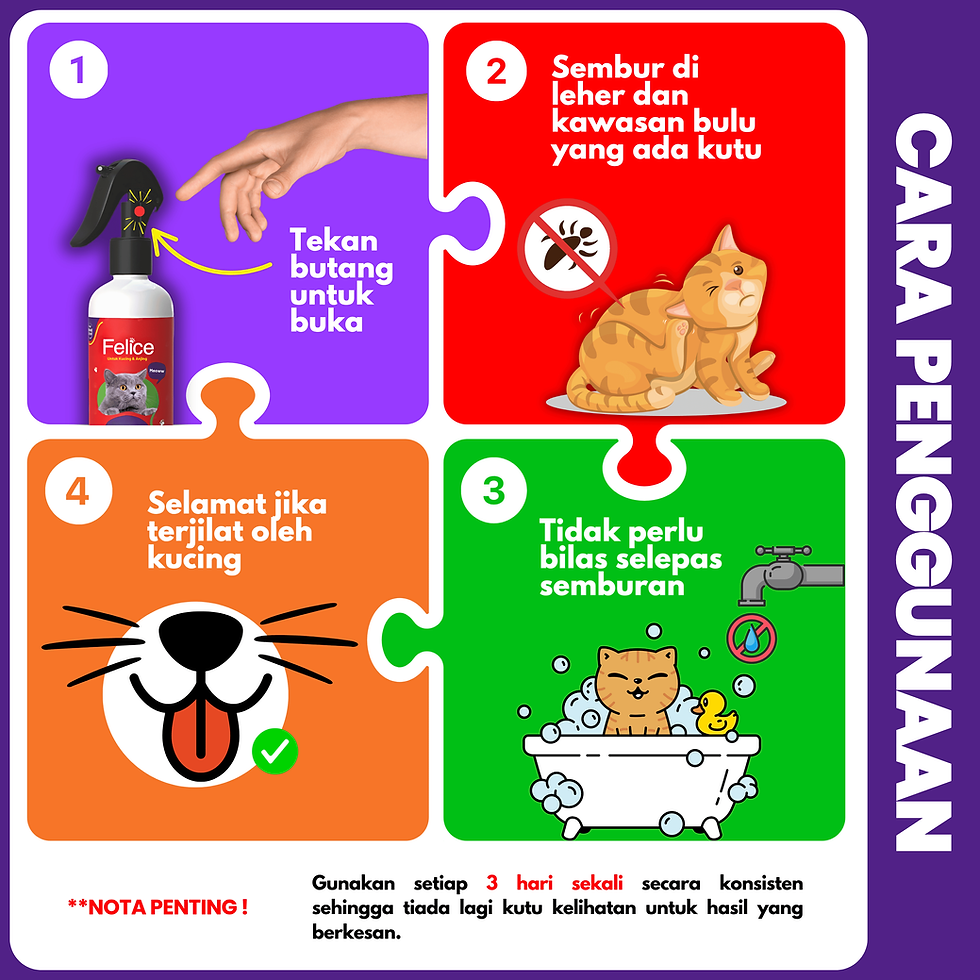 Imej kecil: Felice | Spray Kutu & Hama 150mL
