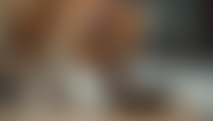 Menghadapi Masalah Kucing Kerap Kencing