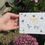 Thumbnail: Happy Bee Day