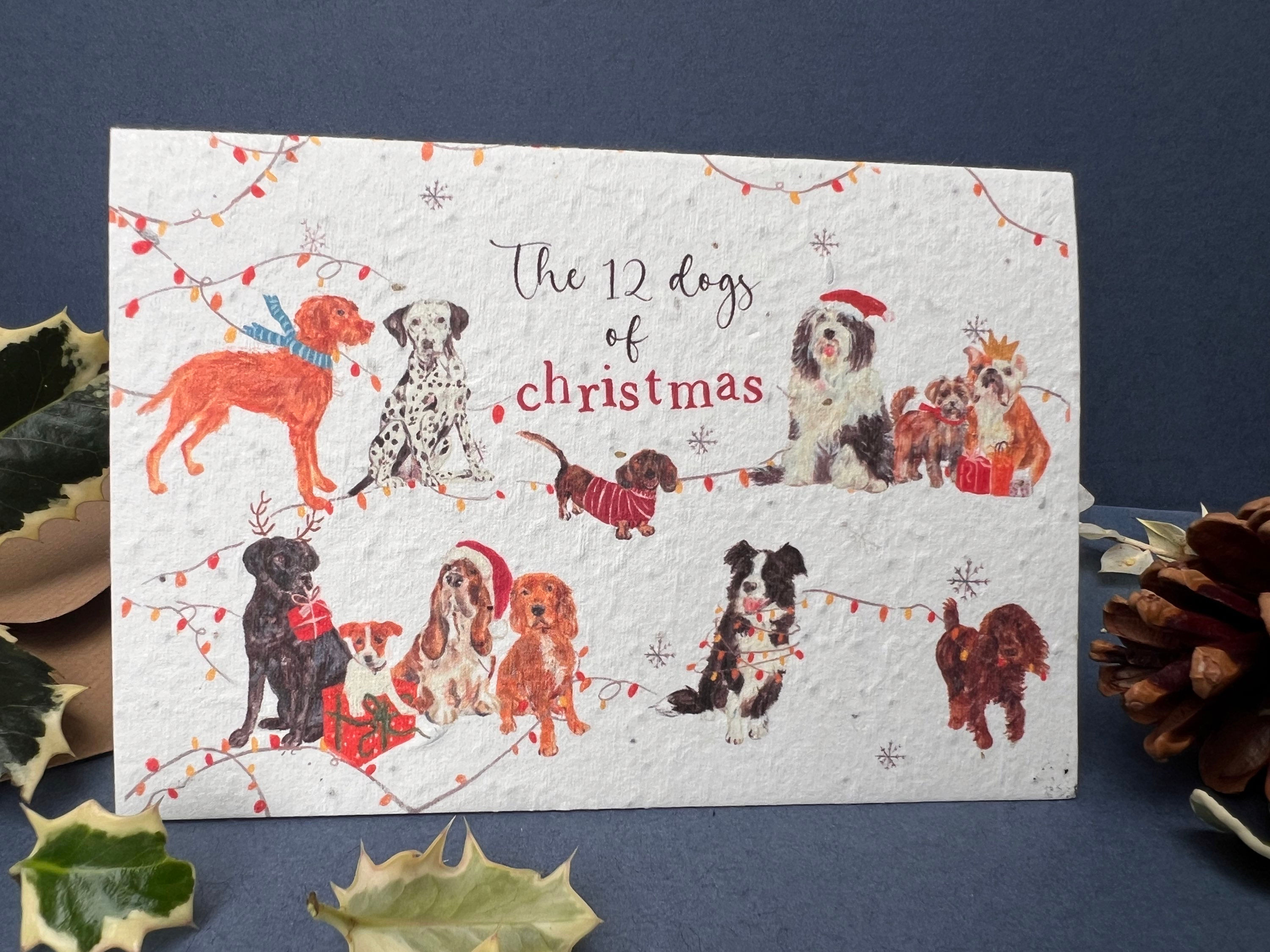 12 dogs of christmas plantable card