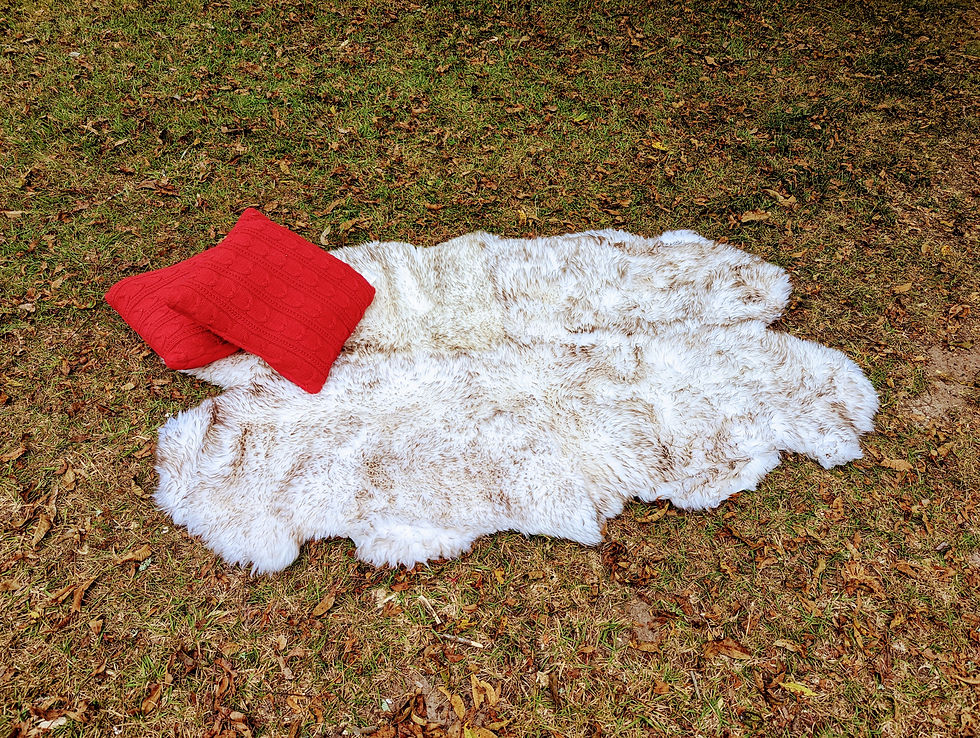 Fur Rug