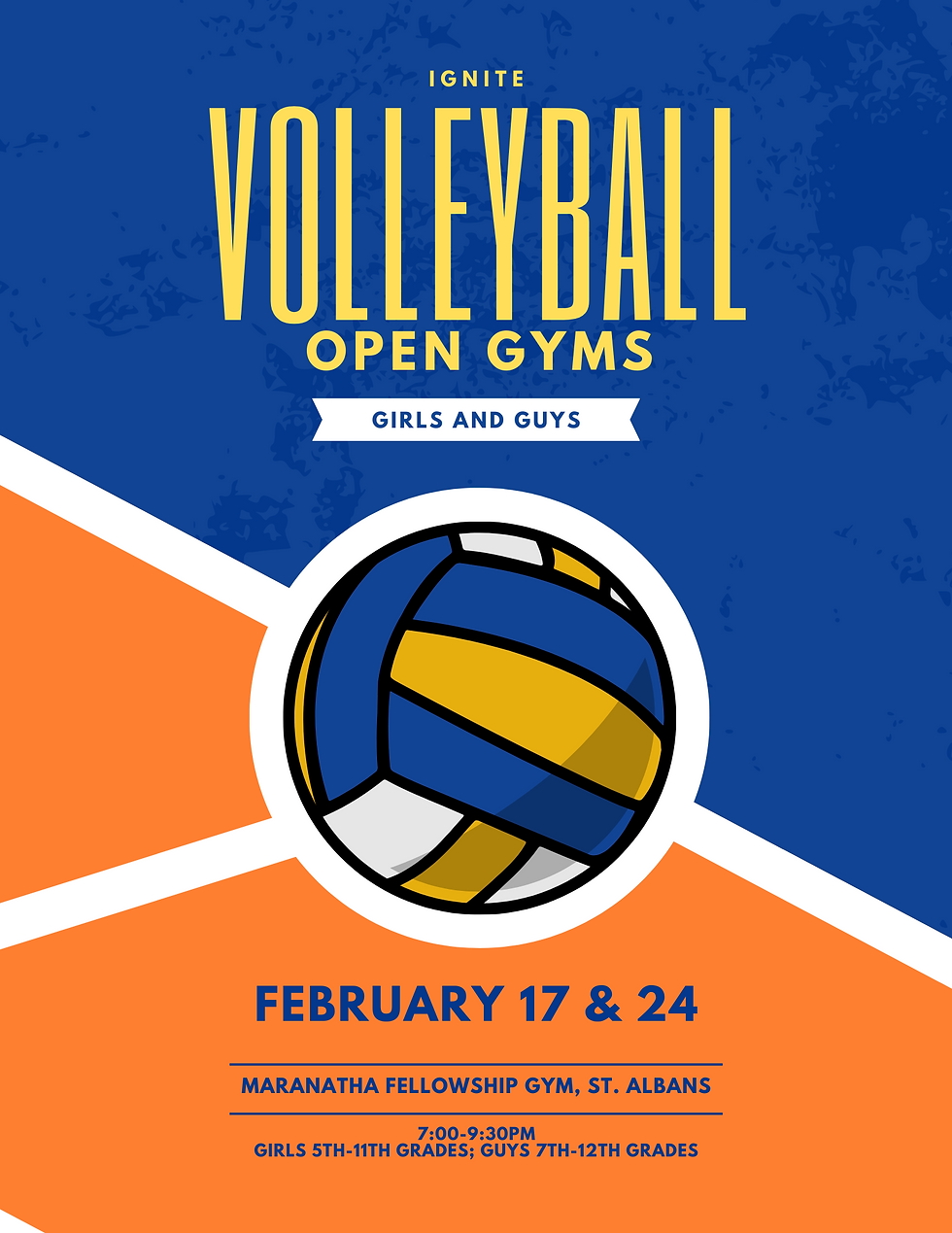Volleyball Open Gym