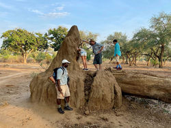 Chongwe 39.jpg