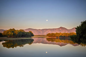 CHINDENI - 009 1_max2000x1200.jpg