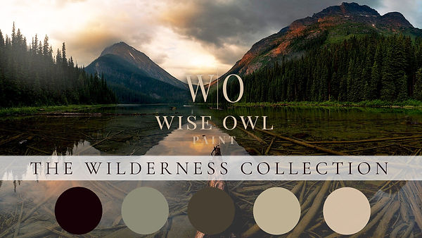 The Wilderness Collection Cover Photo.PNG
