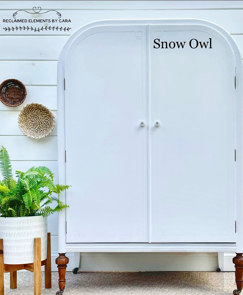 Thumbnail: SNOW OWL (OHE)