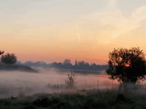 misty morning to the gamblers V1.gif