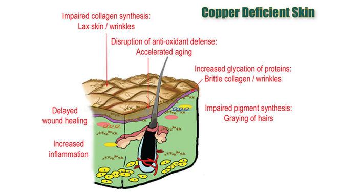 Copper...of Riches and Skincare