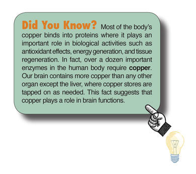Copper_chaptergraphic3_DidYouKnow.jpg