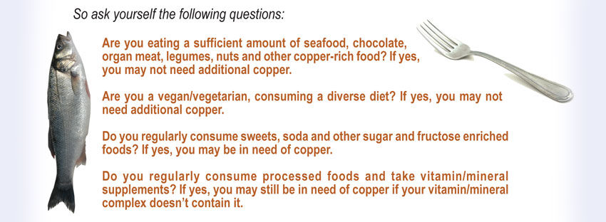 Copper_chaptergraphic5_askyourselfquestions.jpg