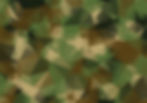 camowebres.jpg