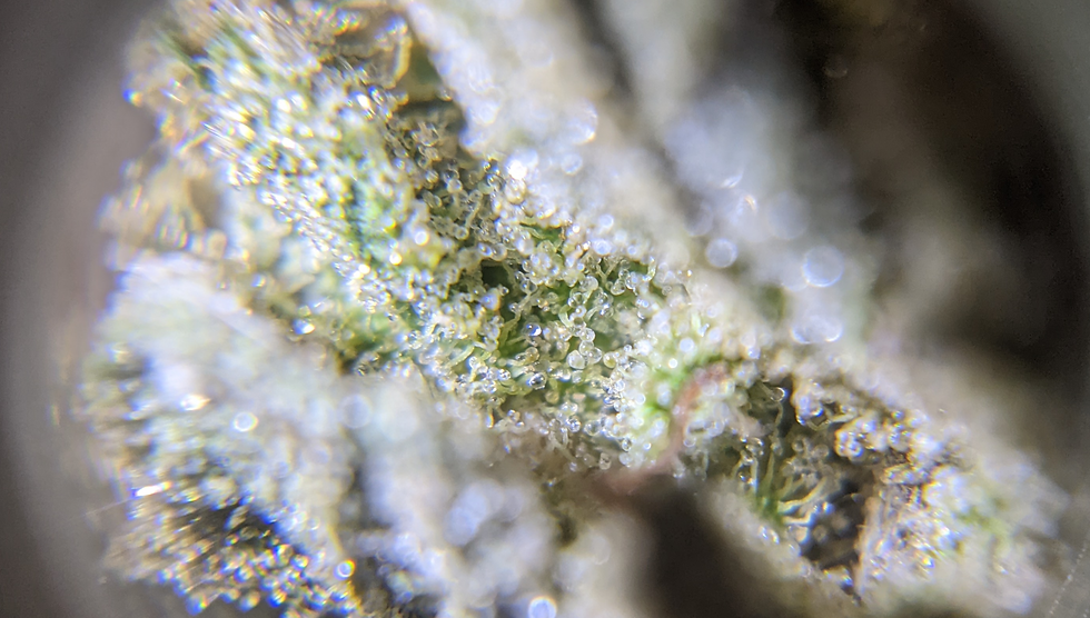 Thumbnail: Hazy Breeze