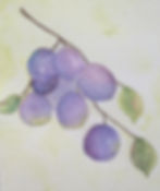 grapes #201B Refresh - Sally O'Brien