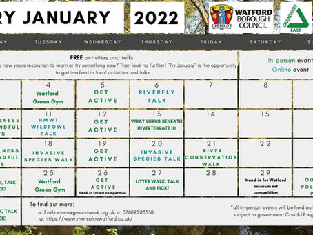 Try-January comes to the Colne