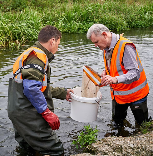 River_Colne_SJ_044 2.jpg