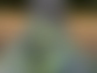 Young Watford artists from Lanchester Primary School inspire new River Colne sculptures