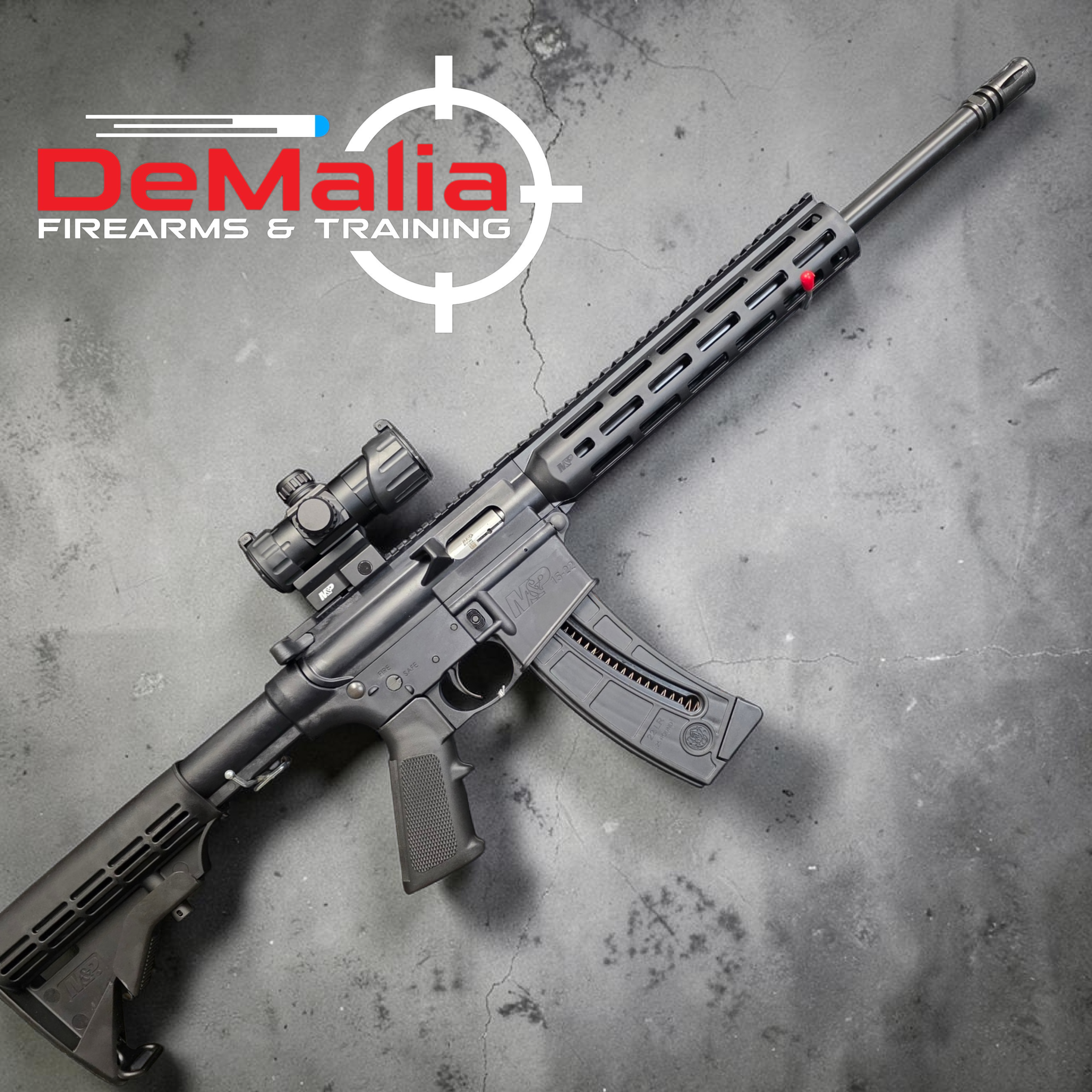S&W M&P 15-22