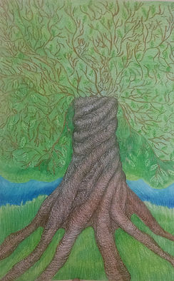 Color pencil drawing