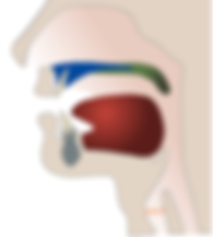 Captura de Tela 2015-09-16 às 6.57.48 PM