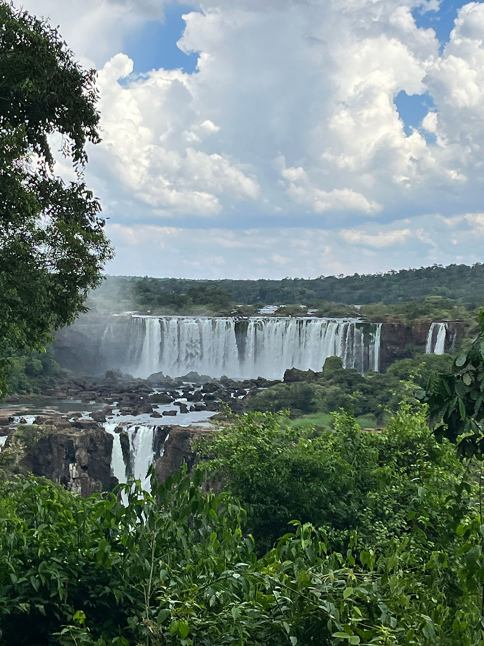 A picture of waterfalls surrounded by trees