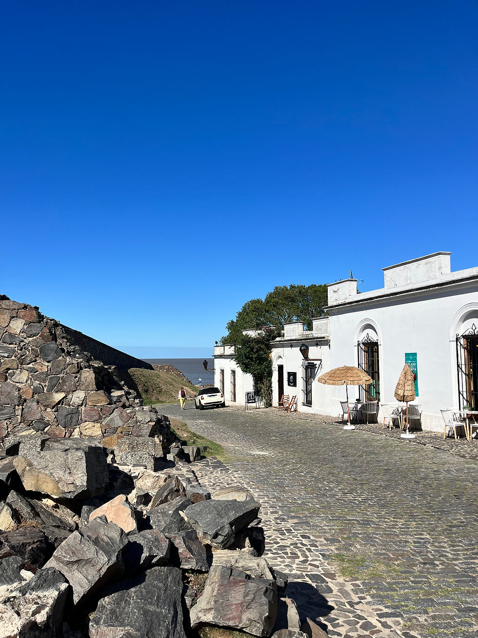 A picture of a beautiful street near the ocean