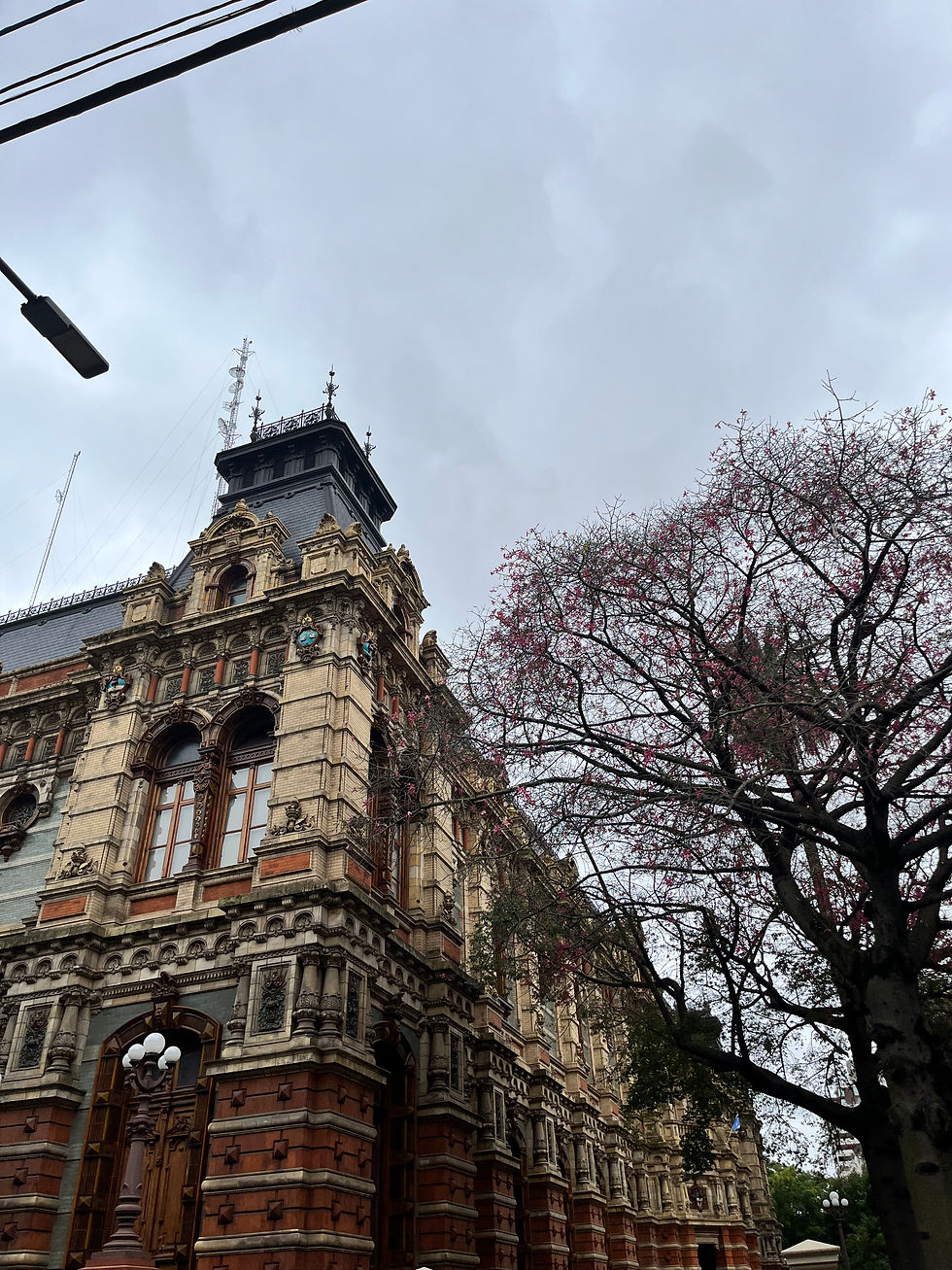 A picture of a beautiful building on a cloudy day