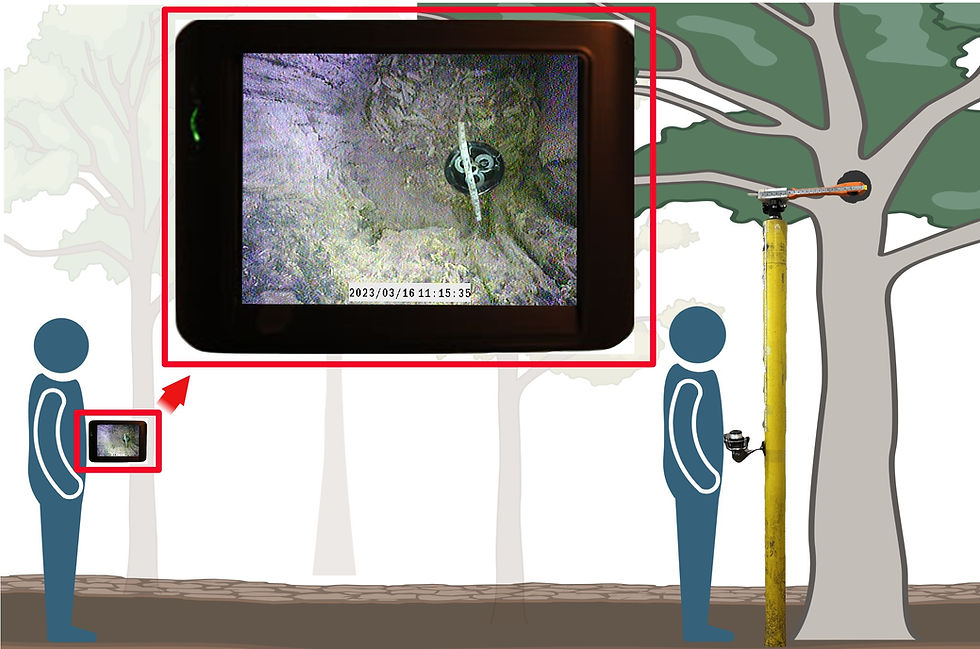 Two-person operation of a wireless cavity monitoring system capable of measuring external and intern