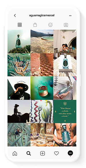 Project - Image