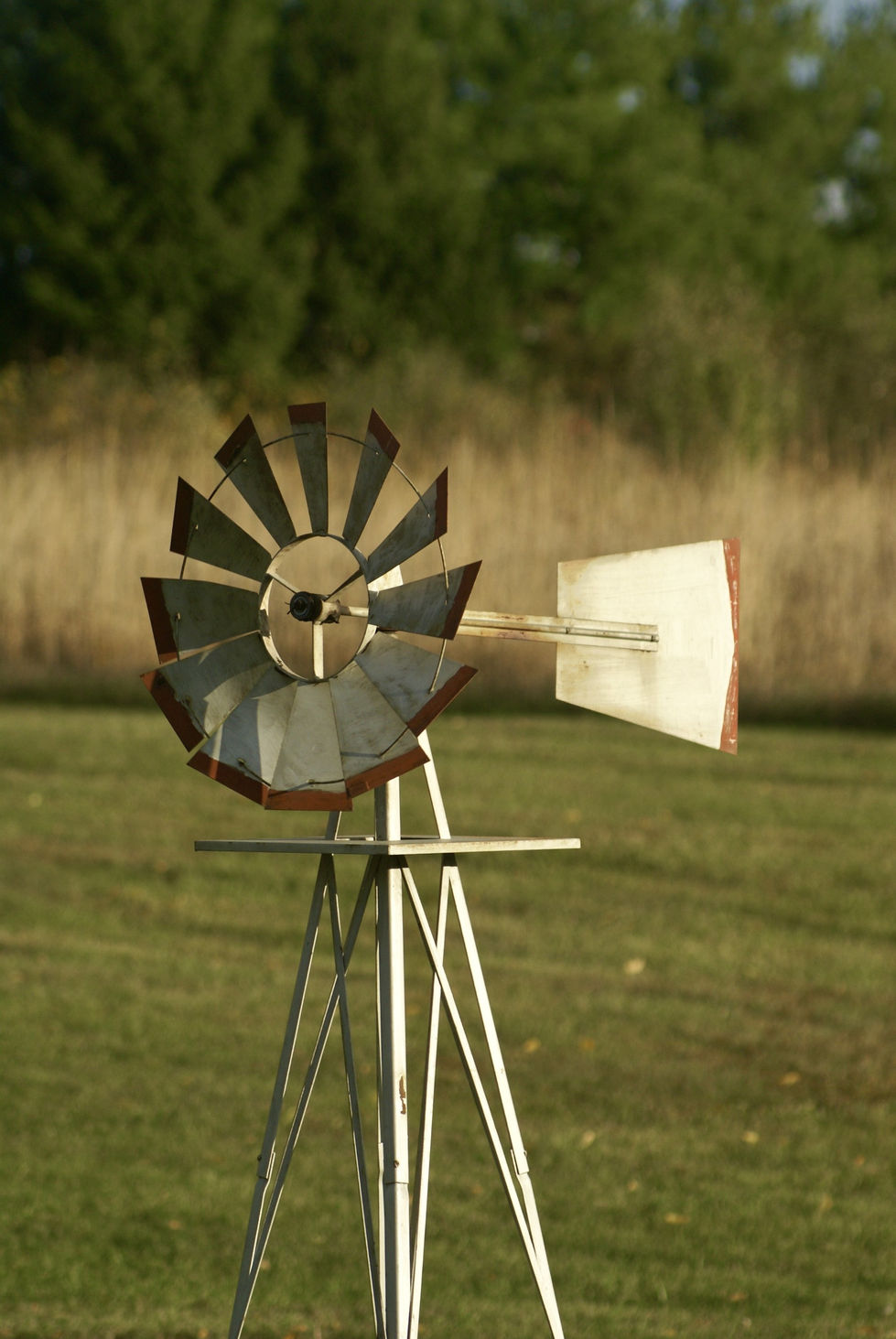 thumbnail_Image